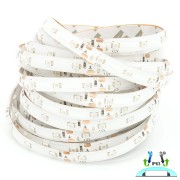 tasma_led_SMD3528_kolorowa_wodoodporna_5W_12V_1.jpg