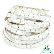tasma_led_RGB_wodoodporna_150SMA_36W_12V_1.jpg