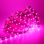 tasma_led_RGBW_11W_24V_fioletowy.jpg