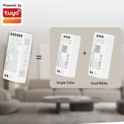 pol_pl_Sterownik-Smart-Tuya-do-LED-MONO-CCT-2w1-12A-12V-24V-2-4Ghz-WiFi-MiBoxer-FUT035W-3385_13.jpg