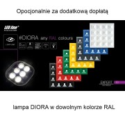 4619