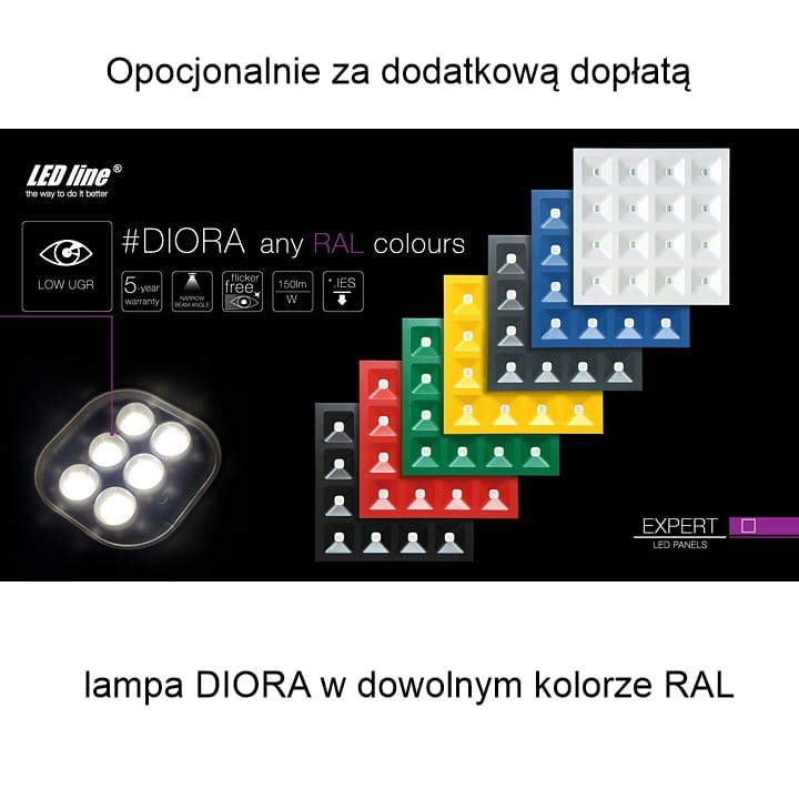 4619