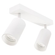 pol_pl_Lampa-sufitowa-QUALIS-SPOT-Reflektor-Oprawa-Halogenowa-2xGU10-Biala-18147_1-Photoroom.jpg